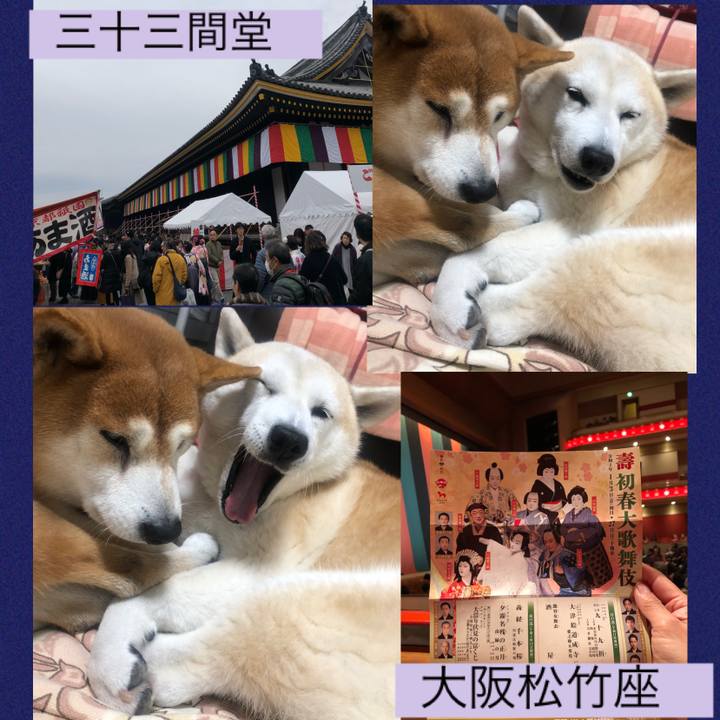 8f841b1d 2f90 48d9 b20b 8d38b2892498 1579474085758