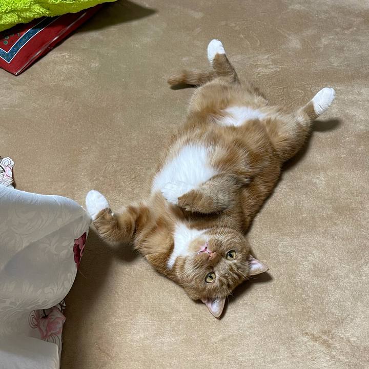 8f842d7f aee2 4311 a0a3 6653b4feaa23 1623765458052