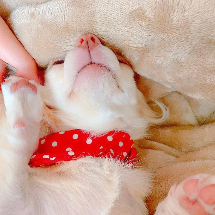 8f843bec 22c9 4748 a051 059bc843de02 1627614885050