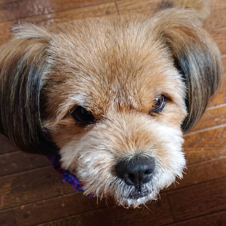 8f8444a2 f668 48cb 8642 852b7d8e7188 1545798842995