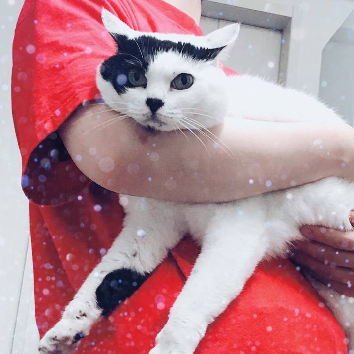 8f844a59 53e2 42cd 91e4 ce62f13a96e4 1593586936567