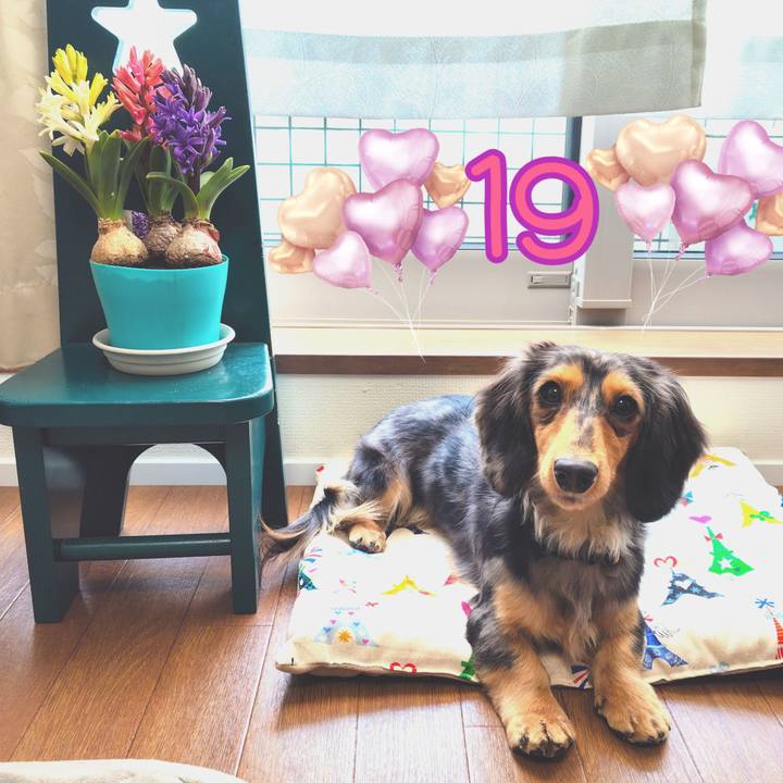 8f8455d9 f46e 450d bd7d 1981b9c80f8a 1739668252498