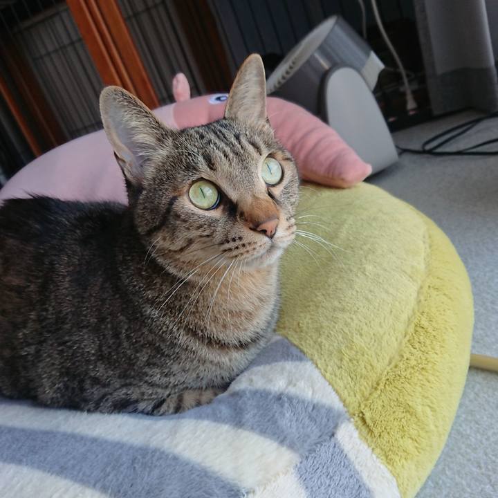 8f847be5 402b 4a96 b4dd cb69e16e7661 1581390384803