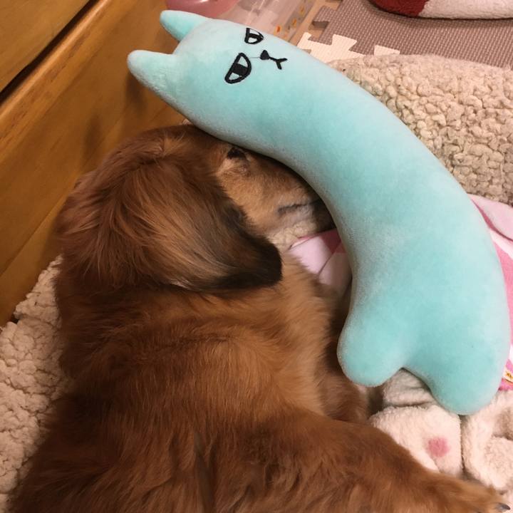 8f849744 4a8a 4301 8087 bc6f80337e26 1606482031833