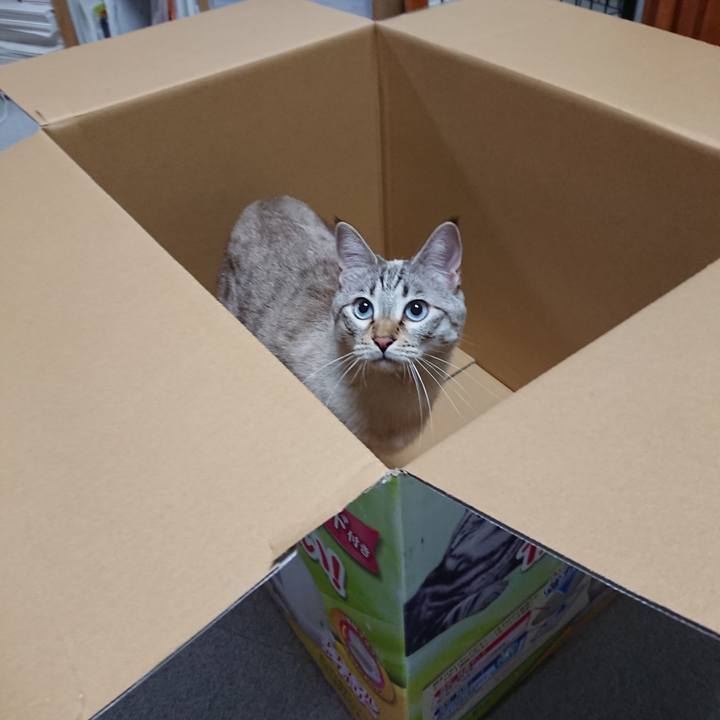 8f8521f9 6ada 45a2 b67c 677677327526 1523269401504