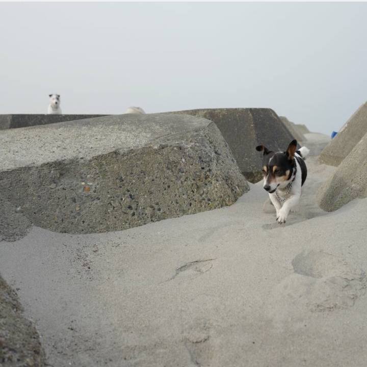 8f854398 c265 4185 8131 f189a7090c78 1743741552174