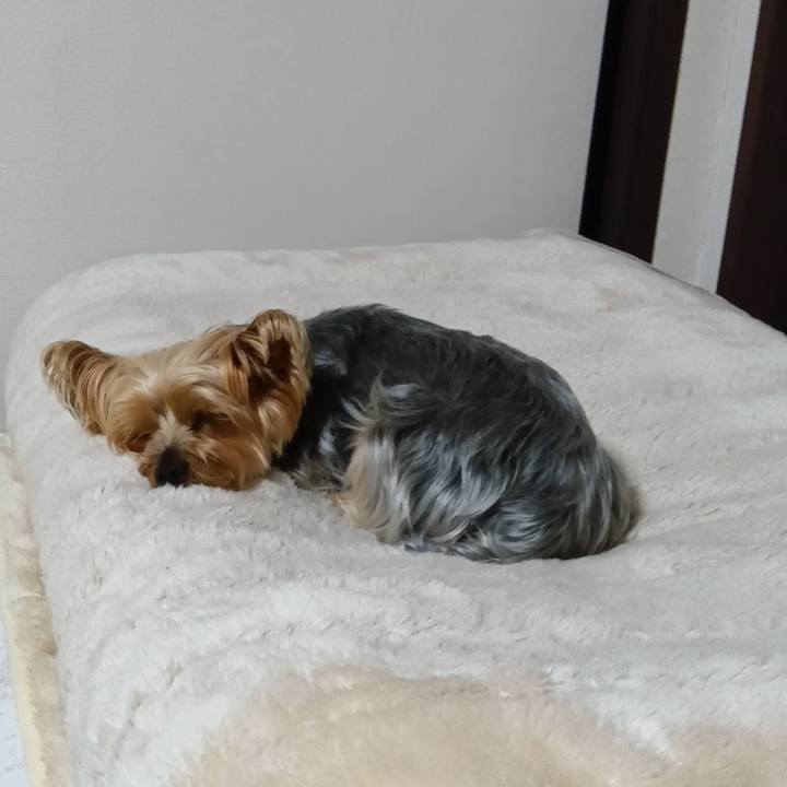 8f858bba 48be 4818 9a06 71ea4825c95c 1748603268424