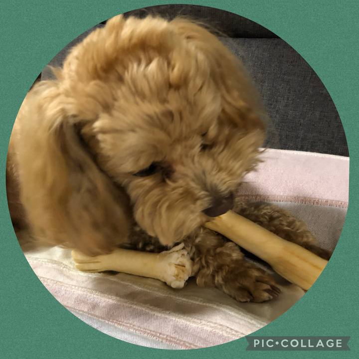 8f85d9d1 9b04 4249 9fc2 832ae12f7a96 1647255645854