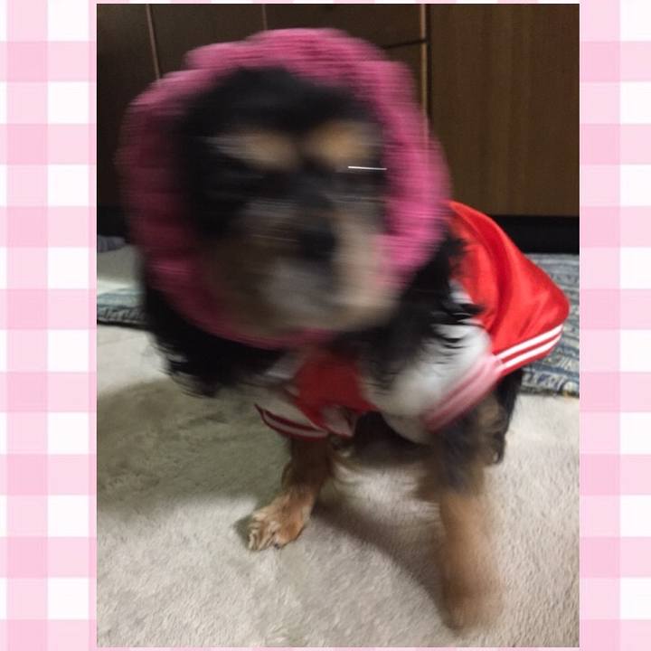 8f85e3eb 4e0c 4a2d b1e2 c9b49e914706 1523762545608