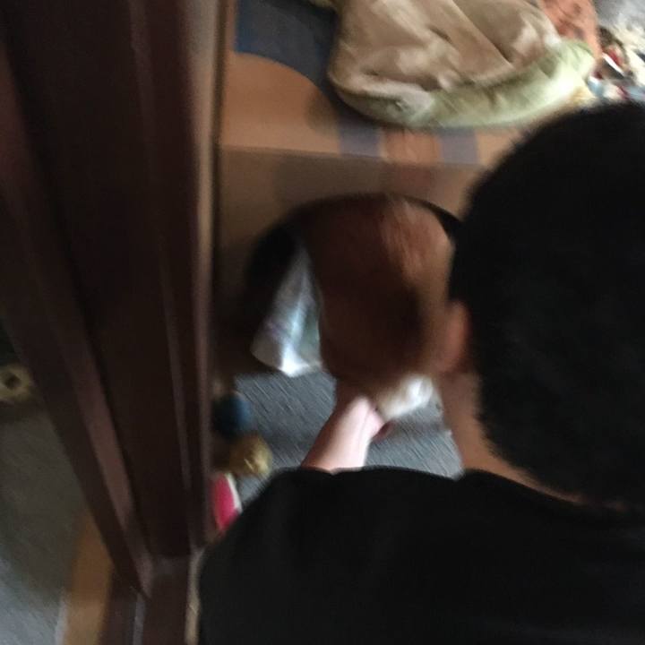 8f860a9c 686d 4ee2 b837 6acfbe4bef1d 1571628309775