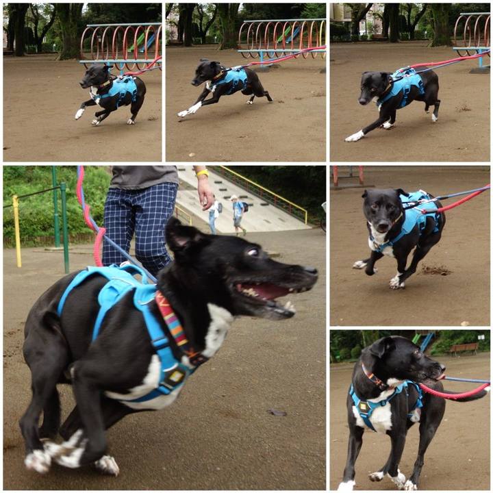 8f861cb4 f6c7 40aa 82c4 9292606b7063 1631234248810