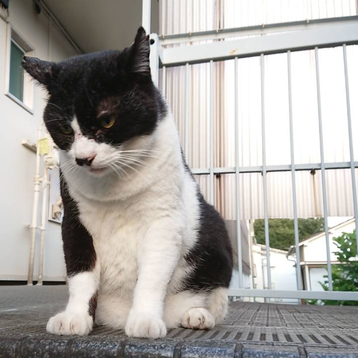 8f862cc0 8243 47d5 af17 2575e49a9878 1598767475904