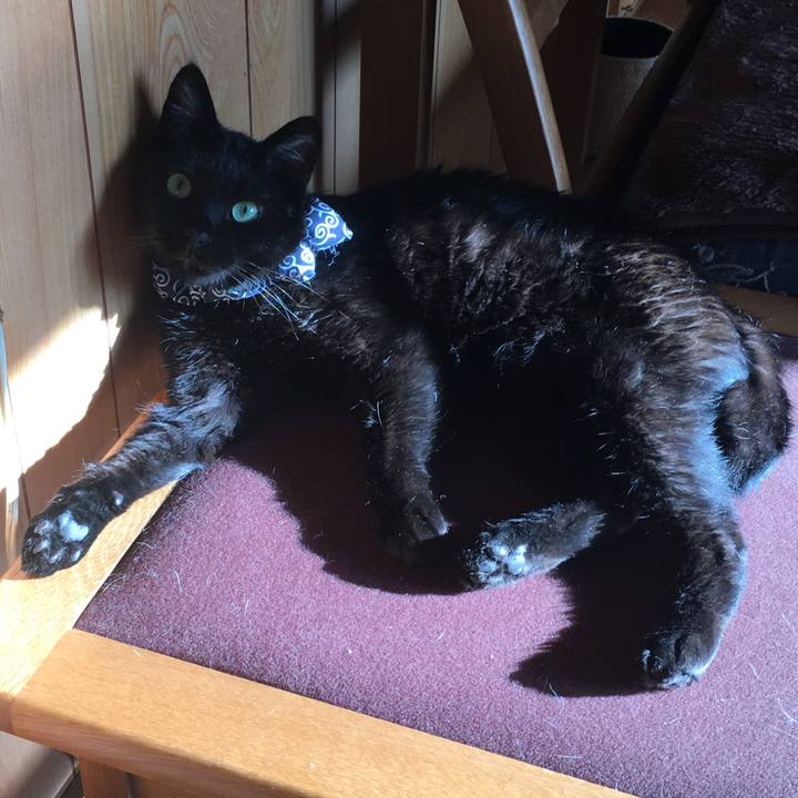 8f8648db 27ed 4ff0 a6e6 0313f11b46e4 1536131841914