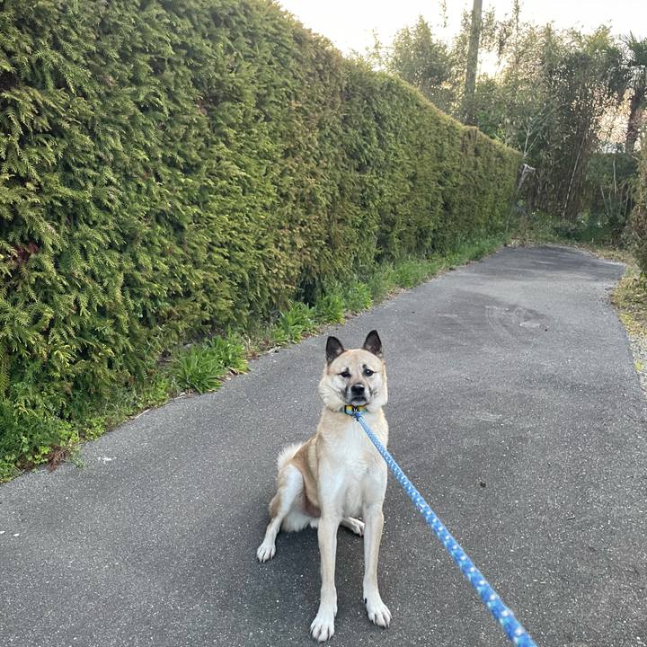 8f864cd3 8cf9 4098 b98a 6b157abdc4fb 1649679389759