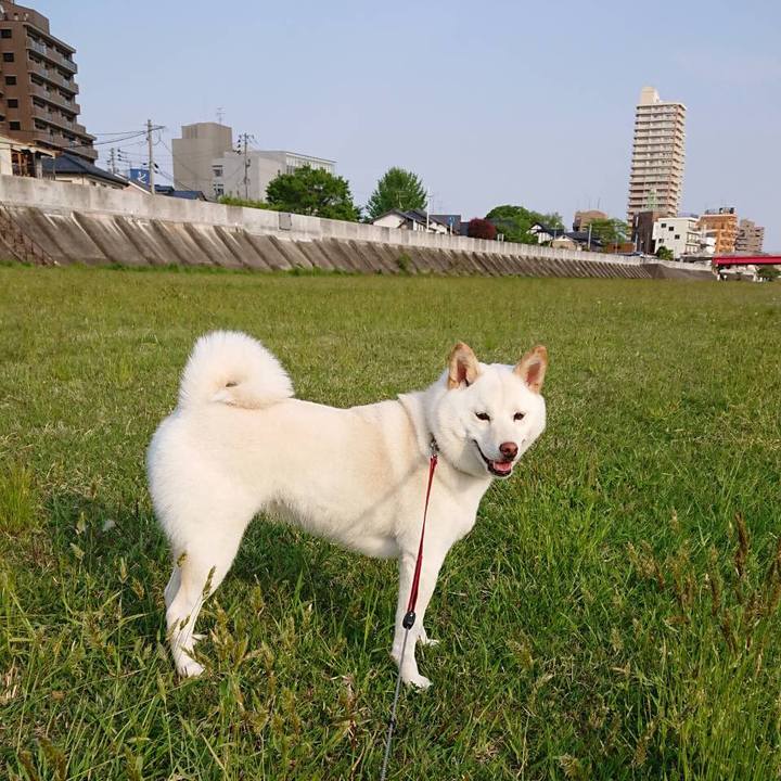 8f8677e3 ab3e 44bf a9db 1afd582008f9 1557586615543