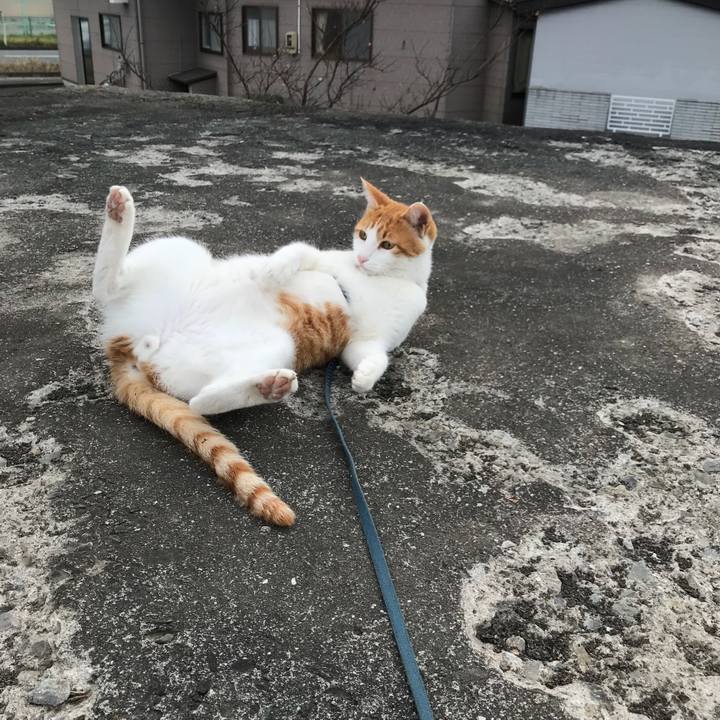 8f86f09b 1a76 49e7 a0f7 3fb76d6057a9 1510370035199