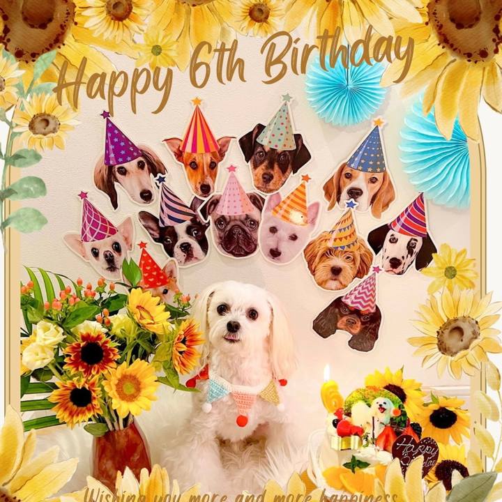 8f870a1b b7fd 4bf0 aab5 9aedf95b5207 1693002478130