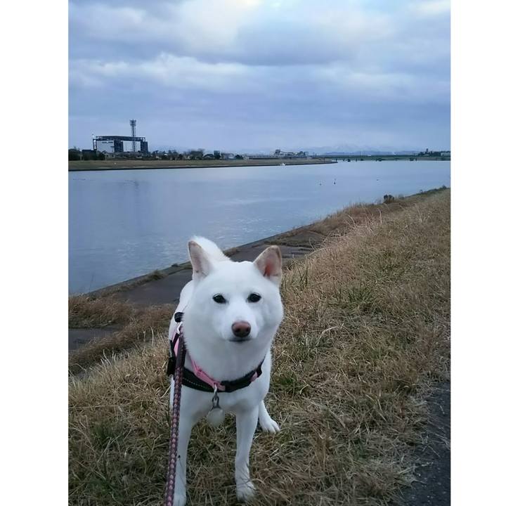 8f870e81 17de 46db b023 62cca86609b1 1515312414741