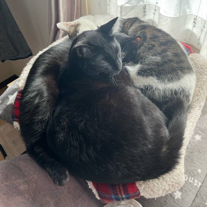 8f873cc8 e639 4a2c 96ea 5ee6ab9963d1 1710996348147