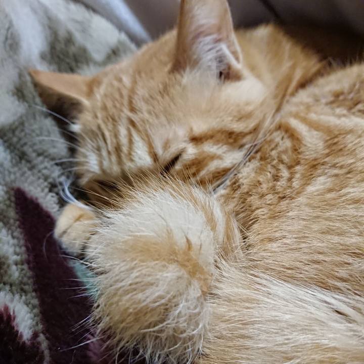 8f8752df 5ada 4fbc 8989 38489df80fd8 1641385054950