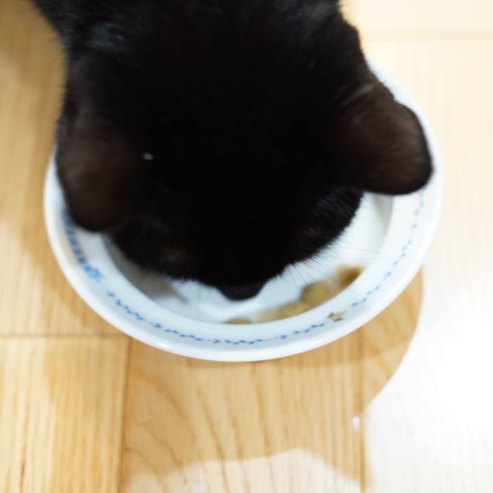 8f87d74a 7ad0 4e0d a6ae 08adf3cfdfc5 1532183385802