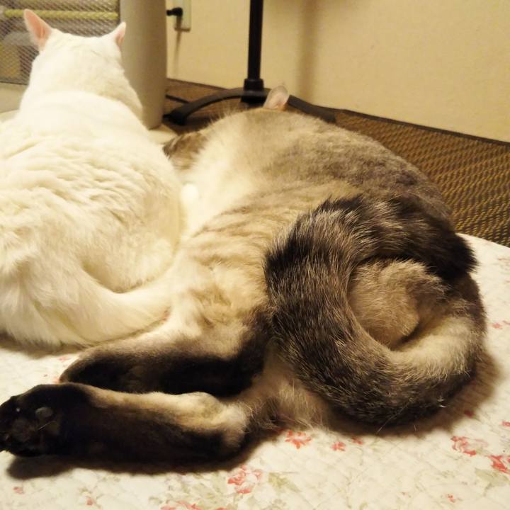 8f87dc9a 5d0b 4b3e a334 03059f6f3158 1587738758393