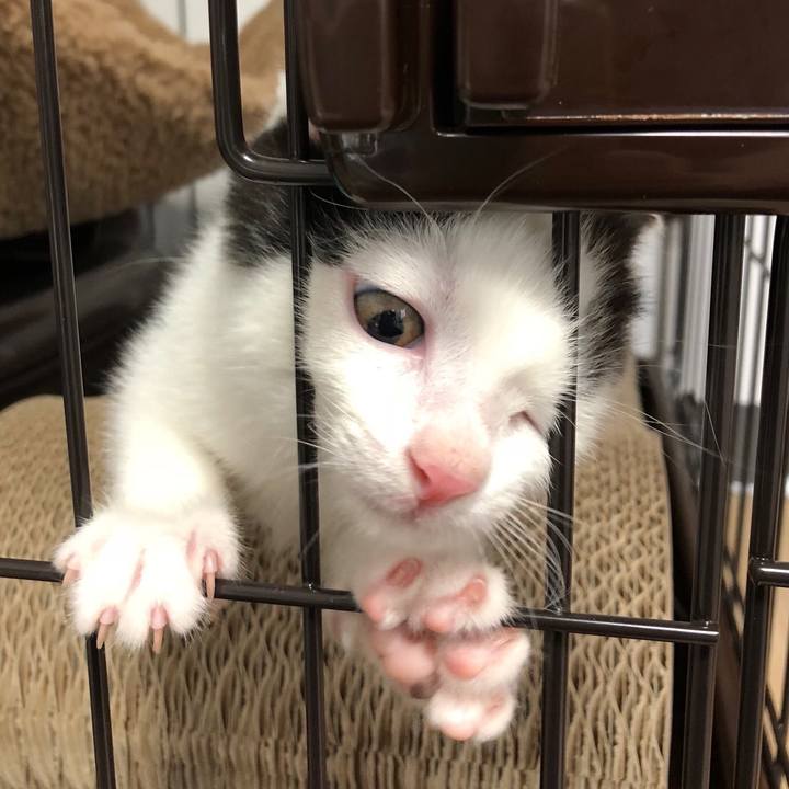 8f881e02 4df4 41b0 adad 985fd942d173 1561366454362