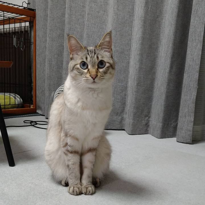 8f882848 92b6 403c ba21 421e65878973 1623071849679