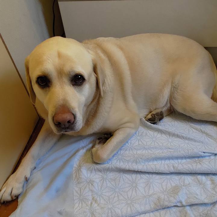 8f8831a7 e509 4029 aede d6a853ab45f6 1702186473582