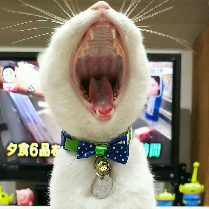 8f88462b e29f 4e37 a14b 6da74b7aa7cc 1510149756338