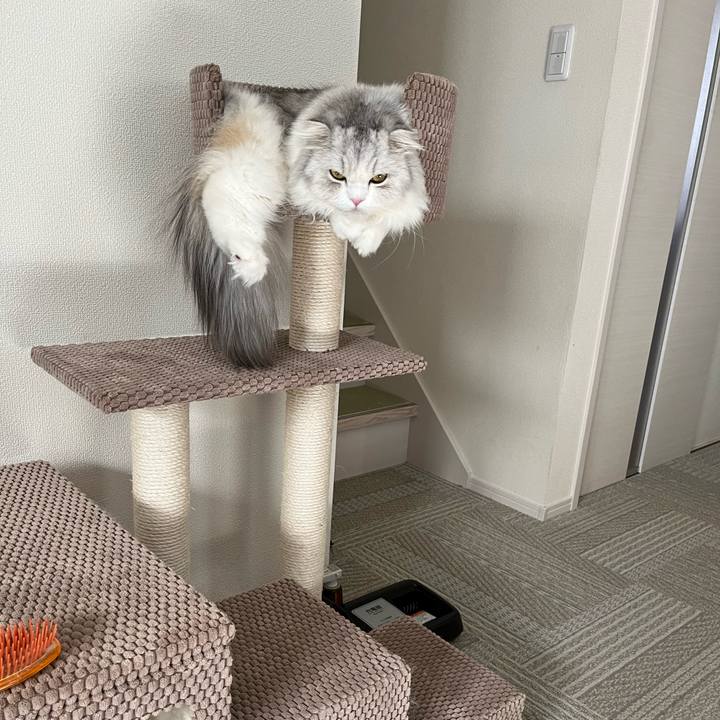 8f888025 dad8 439a 80a2 e0429d23a892 1702433966378