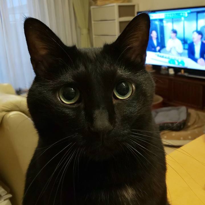 8f8915c7 f63d 45f1 9f0b df9422d1d3f1 1762987702022