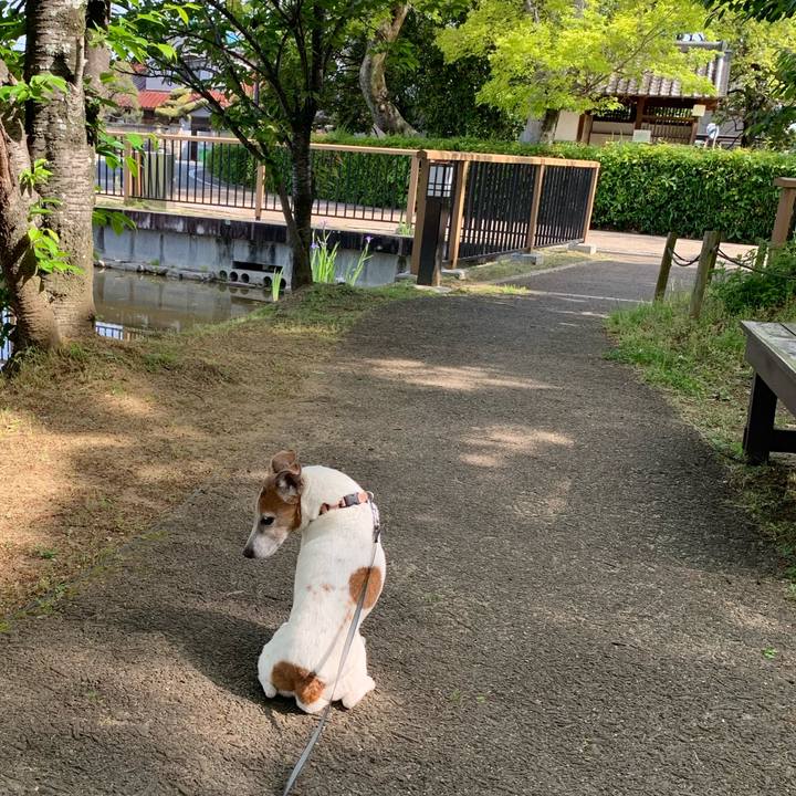 8f892f75 455a 4fa4 ad35 bedf732fc6e3 1620132285988