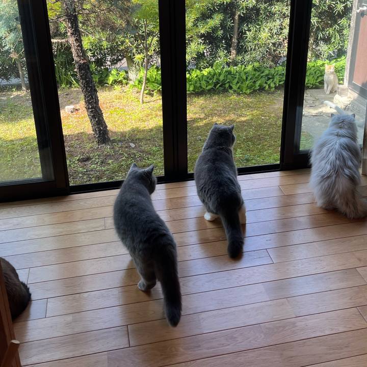 8f894a5b 2f91 443f 9eac 1268fa96312a 1746491485629