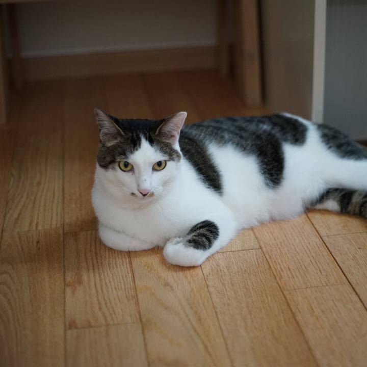 8f897175 2606 4646 a645 3f925eac8fe5 1528415087456