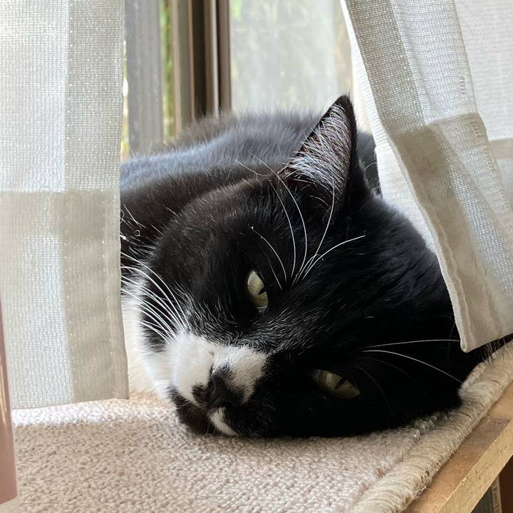 8f898bf9 c152 496c 85bf a1924e23f839 1686281261668