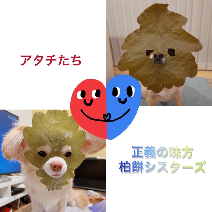 8f89a64d 2aa5 495c b69e 6b0e975fc351 1681457581535