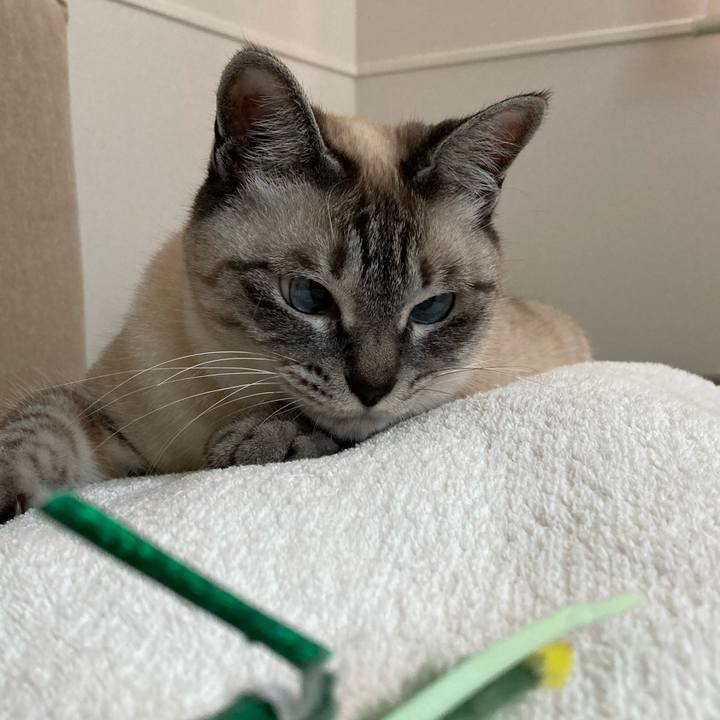 8f89dd97 67f8 4d82 a4ff d4b6074d5d3e 1623319106874