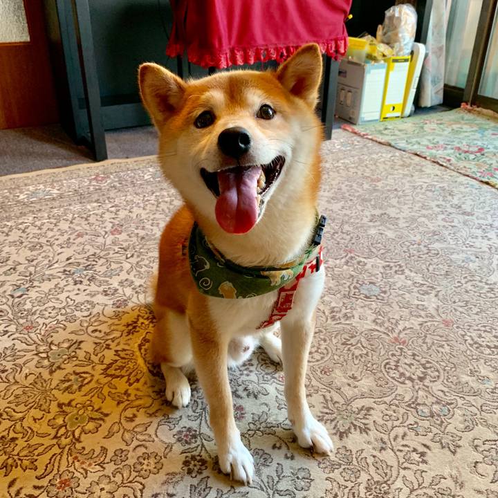 8f8a16cf b2b0 49d2 a494 13c7d6bc35c8 1567503857876