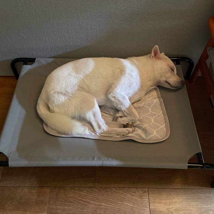 8f8a4d0a 74bf 4c58 b6a2 abf0360f916b 1659452043508