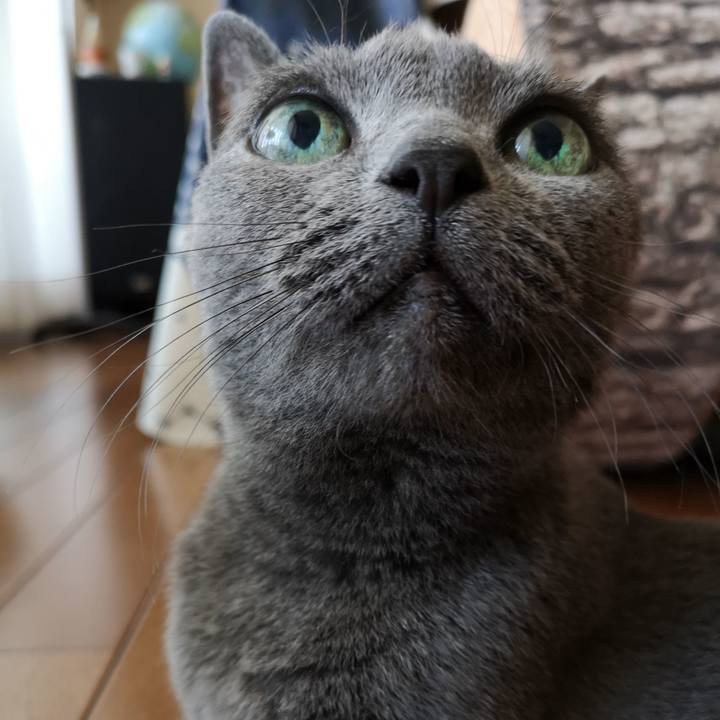 8f8a5ef0 f6d1 470b baf2 c6e9e27bd8cf 1597439938792