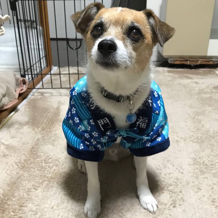 8f8a7f9f e28f 4bbb b6b9 120a647243e2 1547163376162