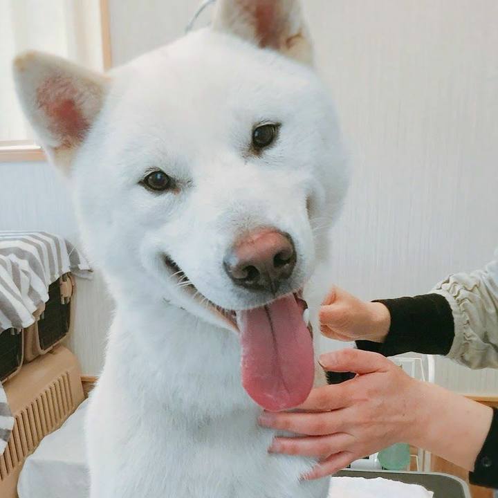 8f8a8916 7972 4b63 9819 456223bc27f2 1519136306248