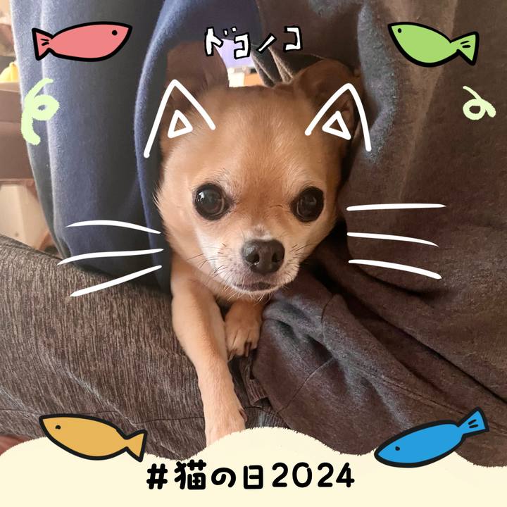 8f8ab11f 06e5 4673 809d 3650f5c5d3ea 1708595685753