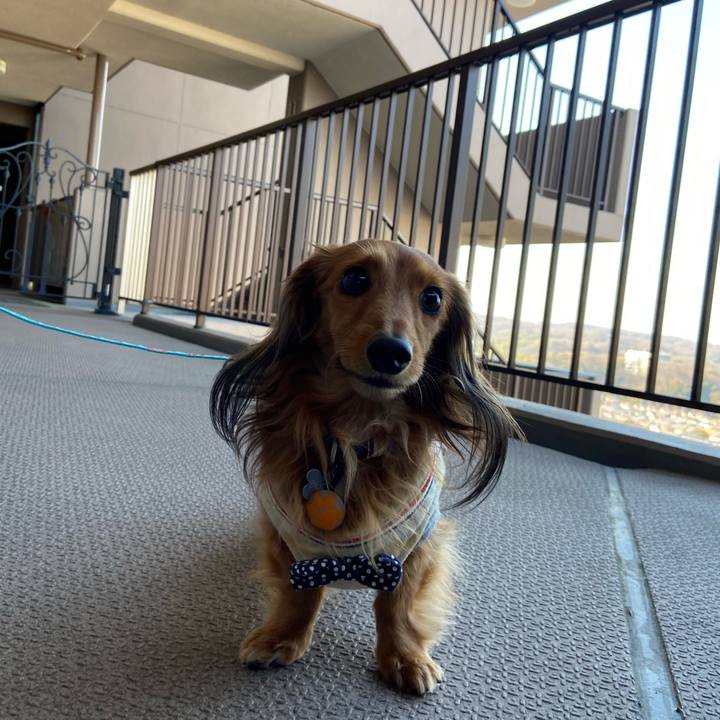 8f8ab927 c4c7 4b83 99b3 676e1f206d3b 1643238236046