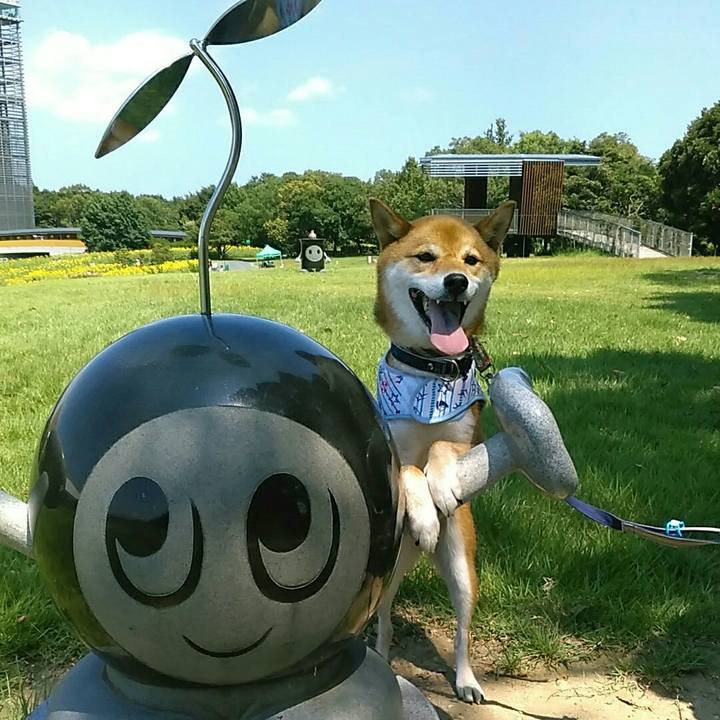 8f8b0ea6 c2db 4acc 9120 ef629192ddf0 1564916671258