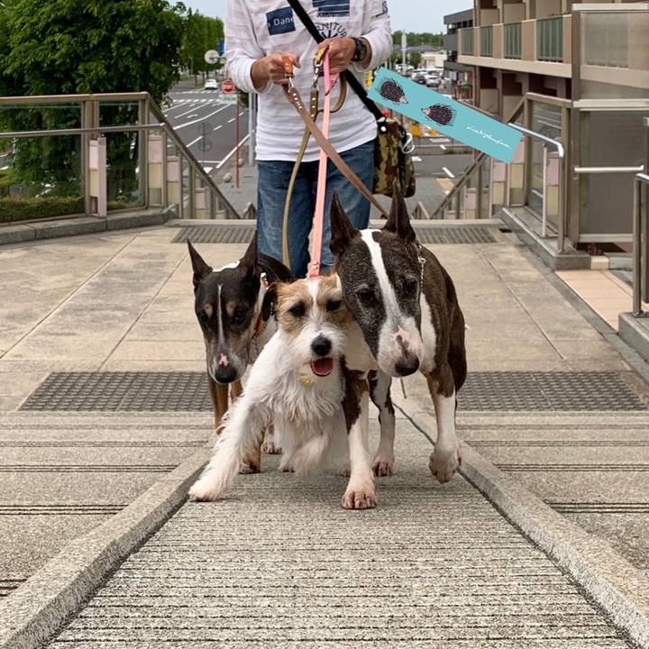 8f8b2273 6790 4771 896a 44e4e98d3623 1589022165705