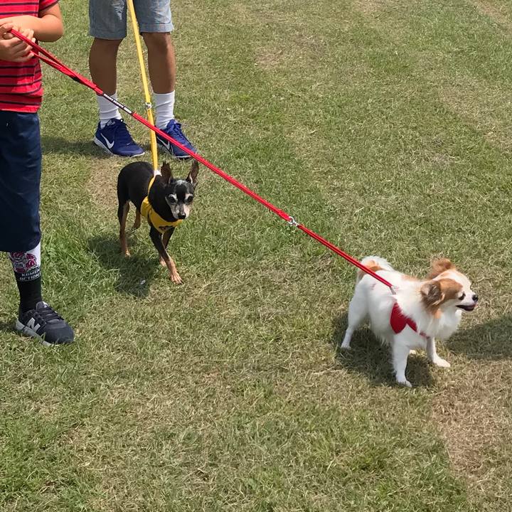 8f8b45ec c2c4 4cd3 82e1 a1b83545eb8d 1534856204290