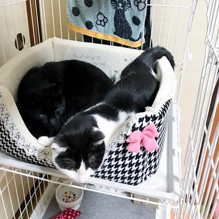 8f8b498e 7df7 46d8 abdf e720e1c3530a 1519566353659