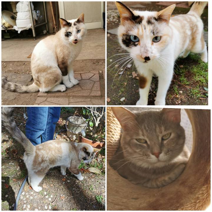 8f8b7365 efe4 4958 99d2 3e2ccbe69417 1617455156961